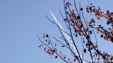 Две сексуальные стюардессы ублажают пилота в самолете